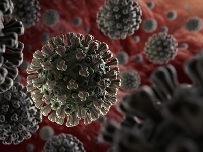 Coronavirus (COVID-19)